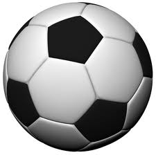 Sports and Volunteer Hours