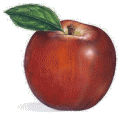Will an apple a day keep the Doctor away?