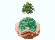 Students Go Green!