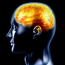 Thriving with Anxiety: Where does it come from, and what can I do about it?