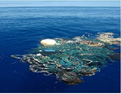 The Great Pacific Garbage Patch: Filling the Ocean with Plastic