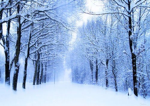 It’s Your Future – Make It Great!