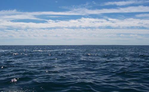Discovering Marine Science in The Maritimes