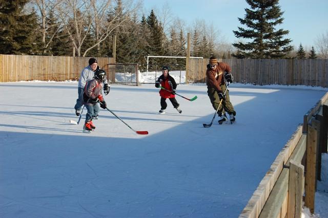 Could Hockey Become an Endangered Sport?