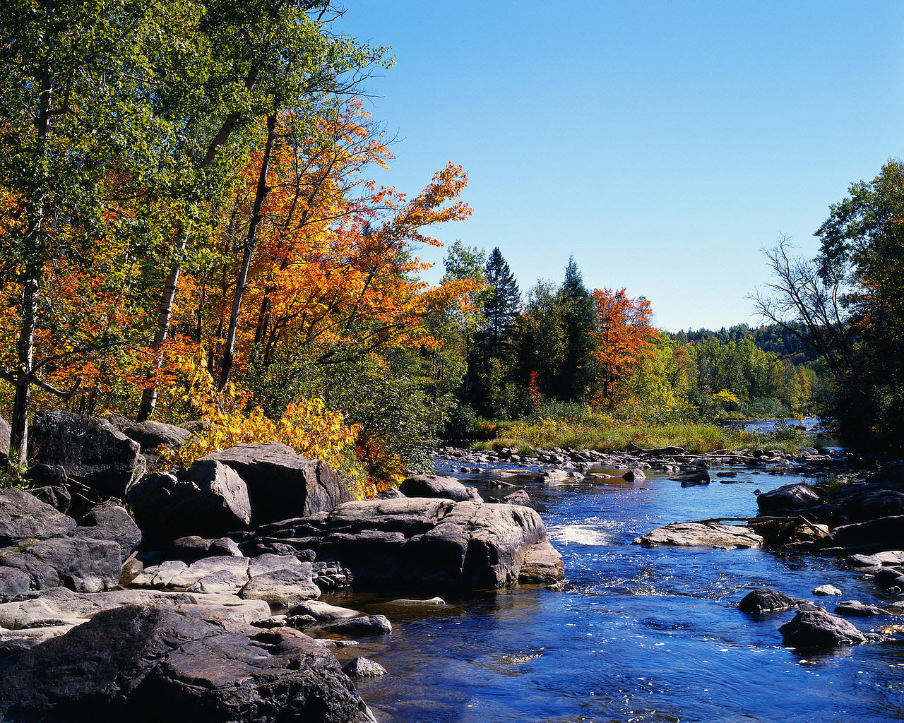 Fall In Love With Nature