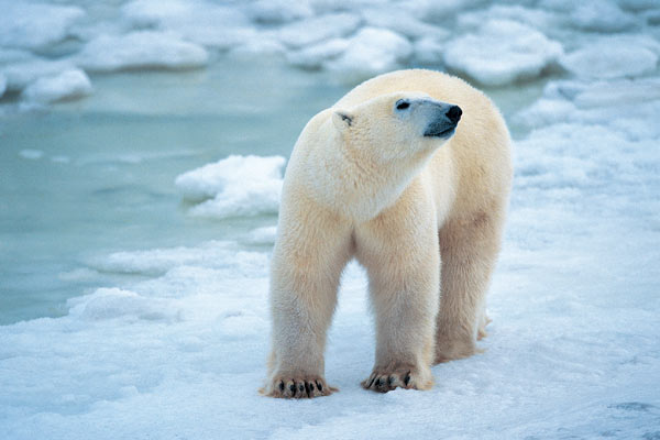 Making a Difference for Canada’s Environment