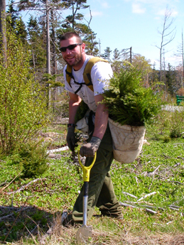 Work Safety Risks and Tips for Tree Planters