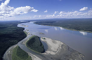 “Big Picture” Thinking Needed to Protect Nature