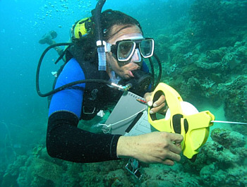 Career Profile: Marine Biologist