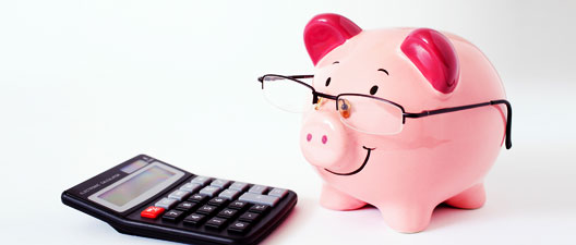 How to Survive Without A Salary