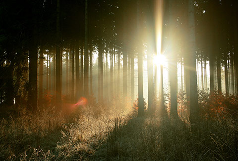 Introversion; It’s OK to Be an Introvert