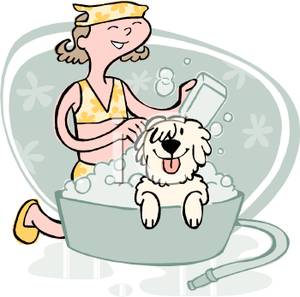 Career Profile: Dog Walker/Pet Sitter