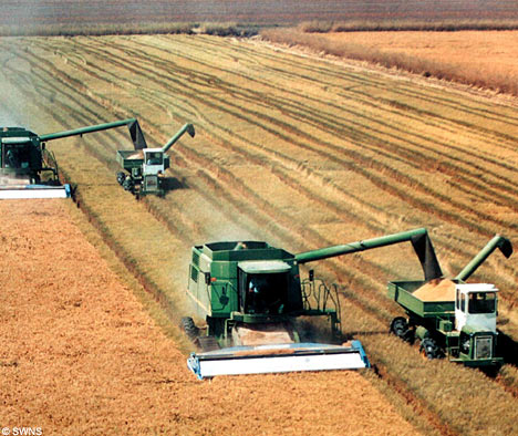 Career Profile:  Farmer