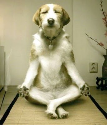 The Importance of Finding Peace Within