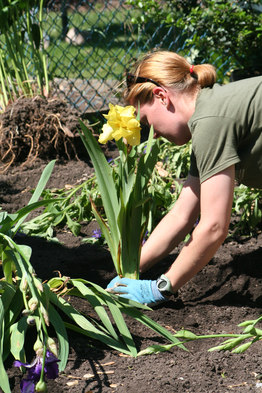 Why You Should Learn About Gardening