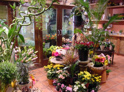 Career Profile: Florist