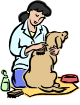Jobs with Animals: Dog Groomer