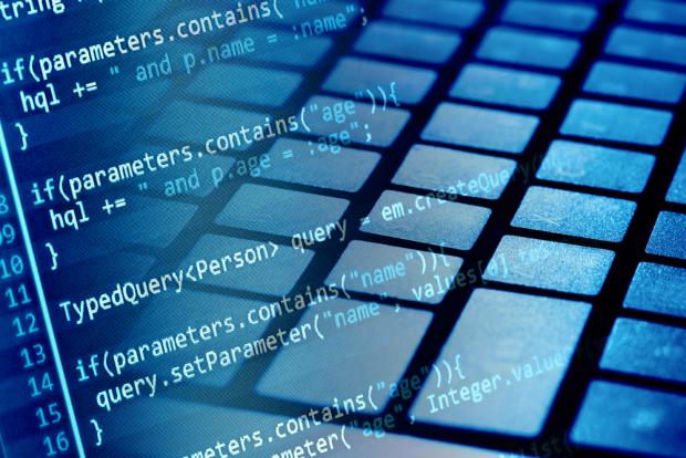 Career Profile: Software Developer