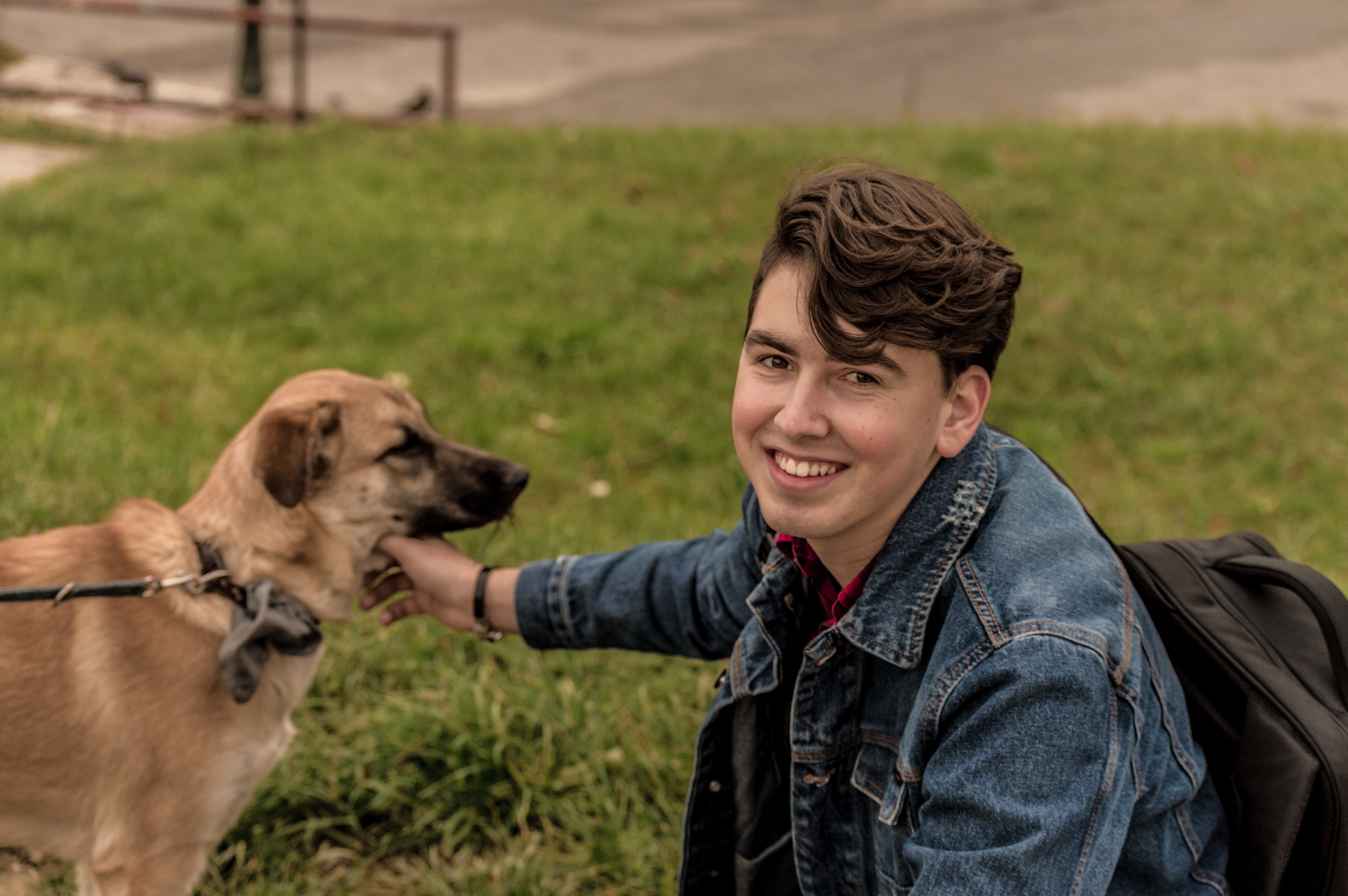Career Profile: Animal Control Worker