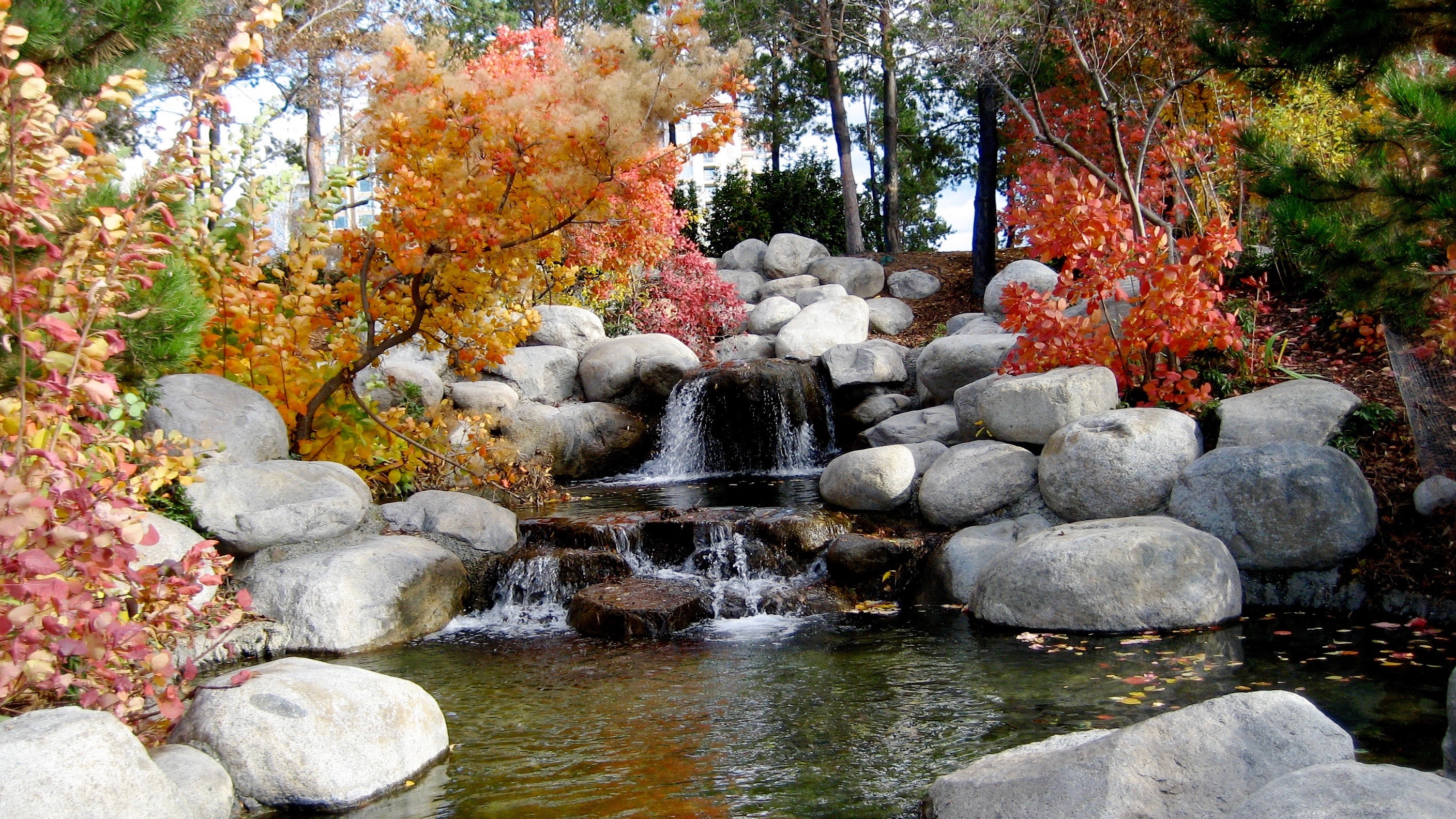 A Closer Look at a Career as a Landscape Architect