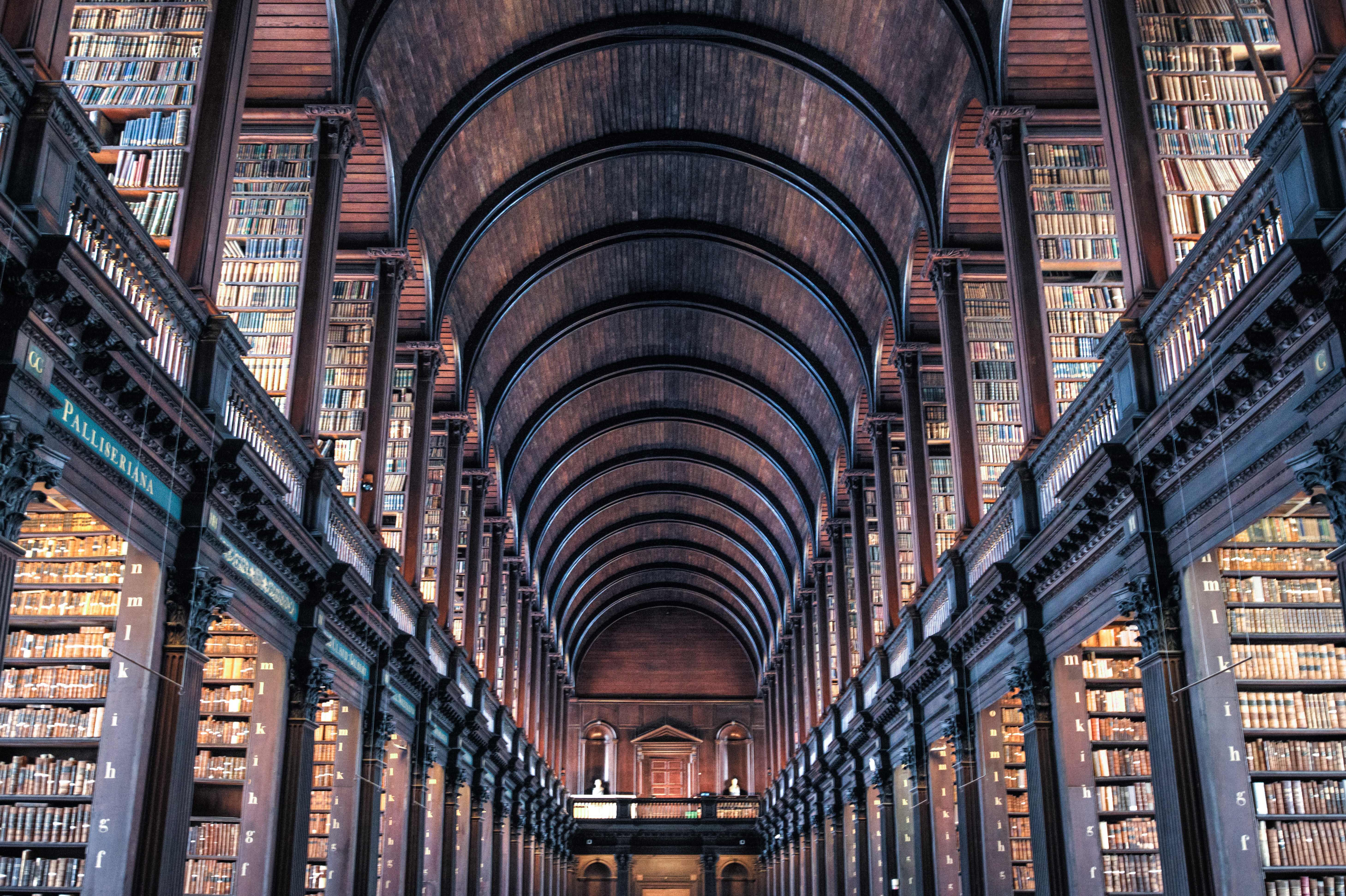 A Closer Look at a Career as a Librarian