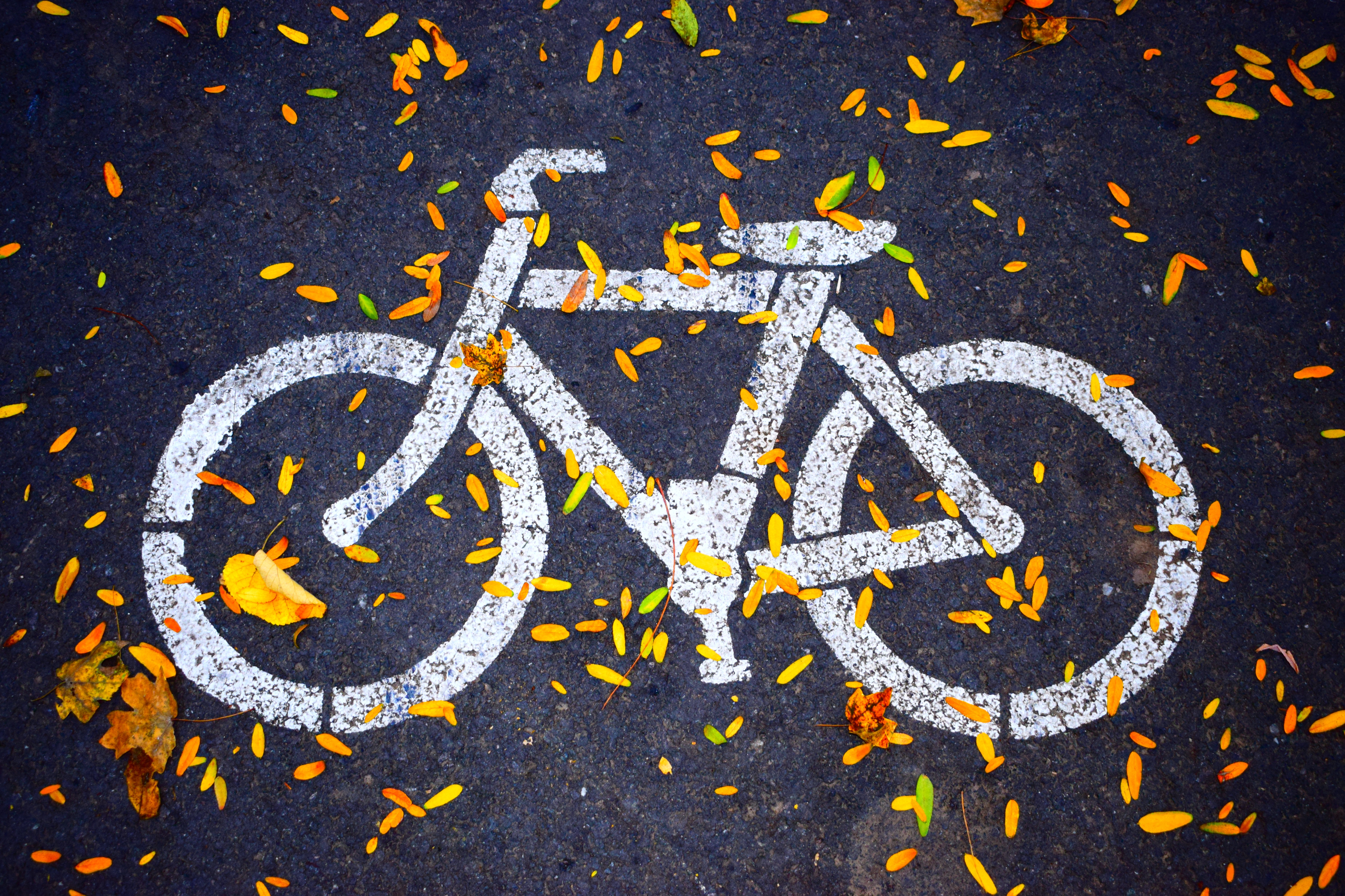 Career Profile: Bicycle Maintenance and Repair