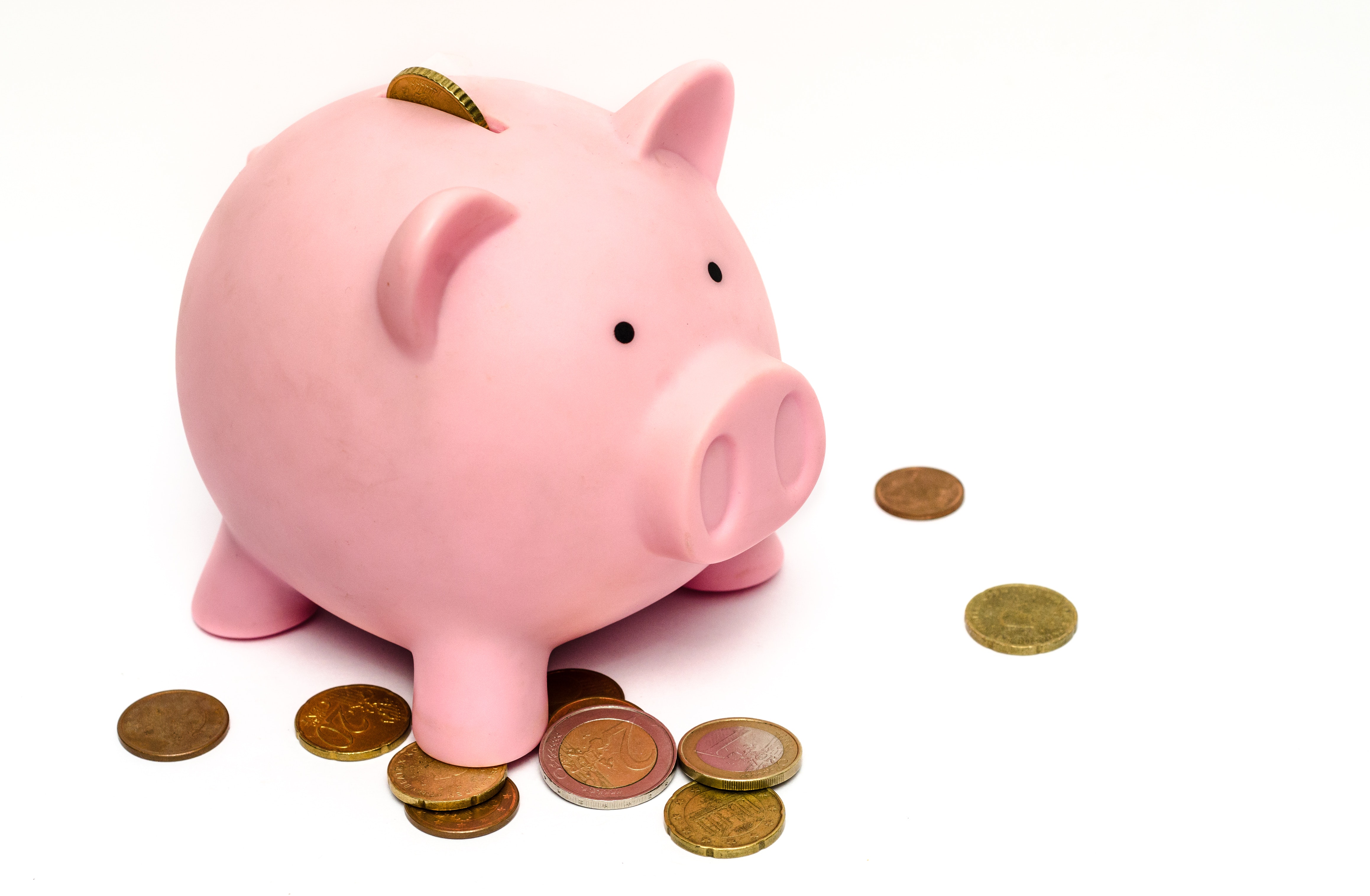 A Beginner’s Guide to Applying for Scholarships
