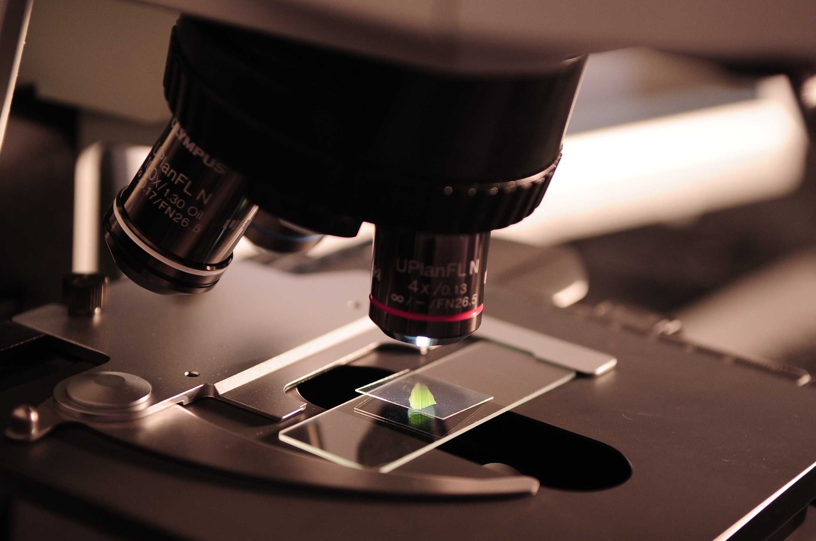 Career Profile: Atmospheric & Space Scientists