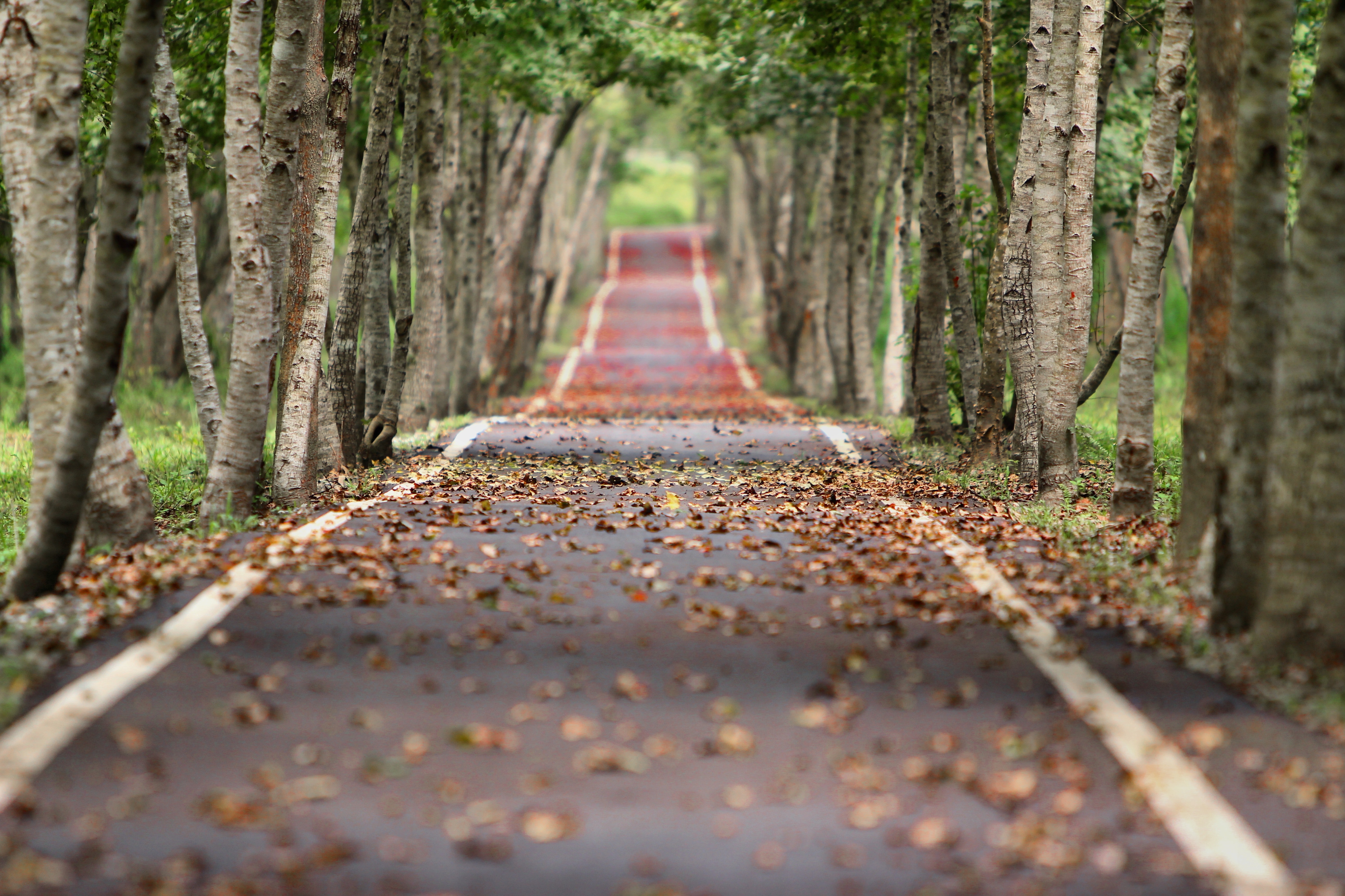 The Healing Power of the Outdoors