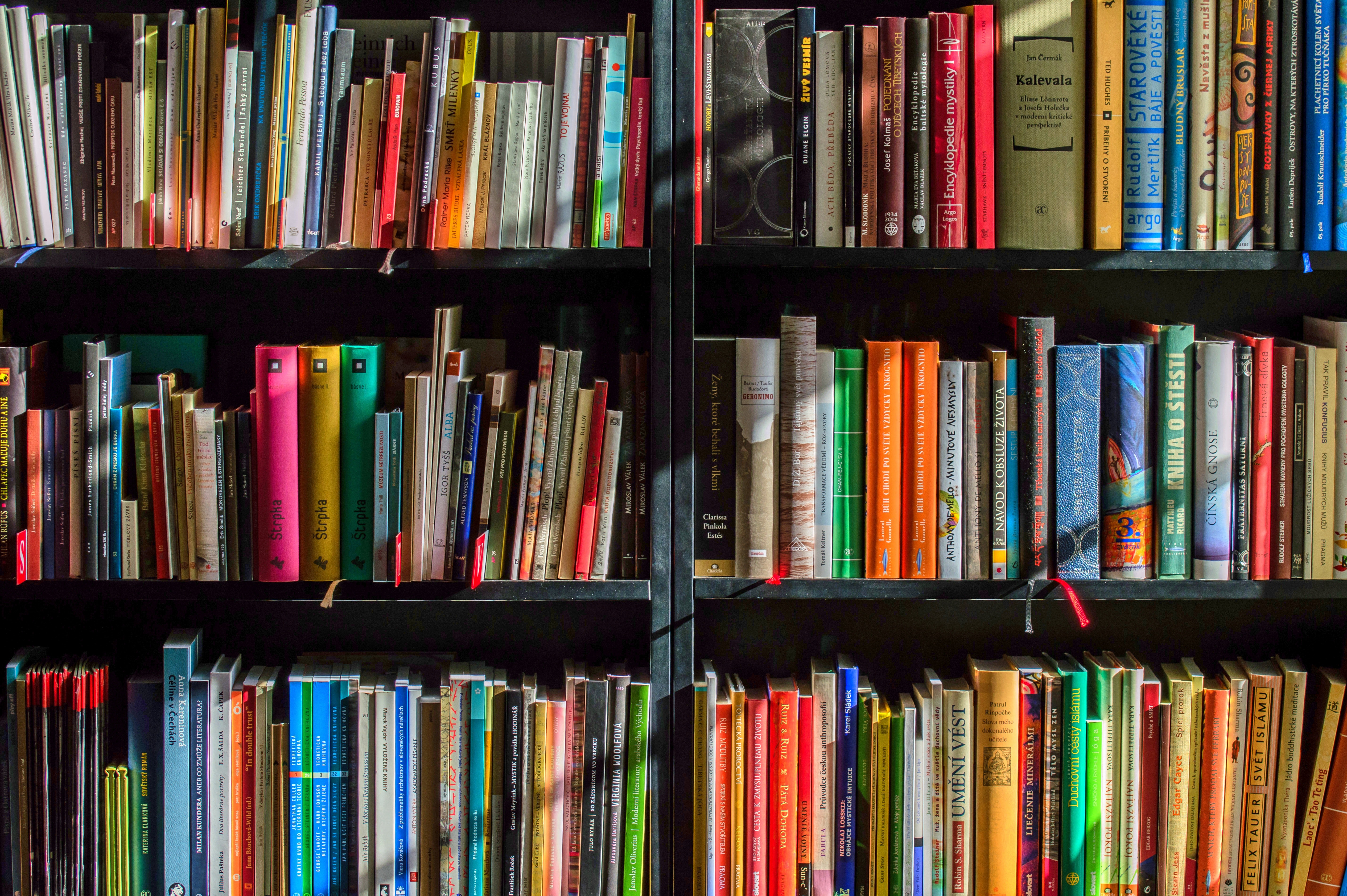 Novels to Check Out in 2019