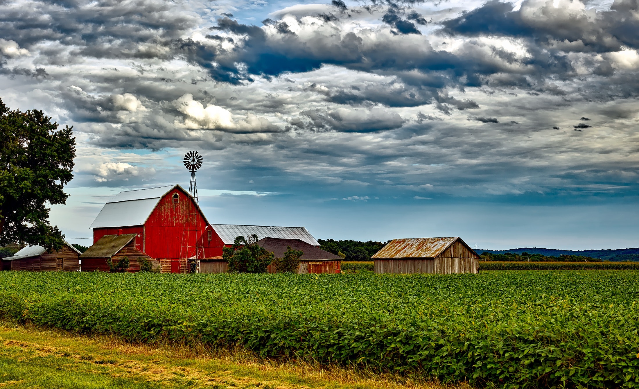What Life on the Farm Can Teach You About Life
