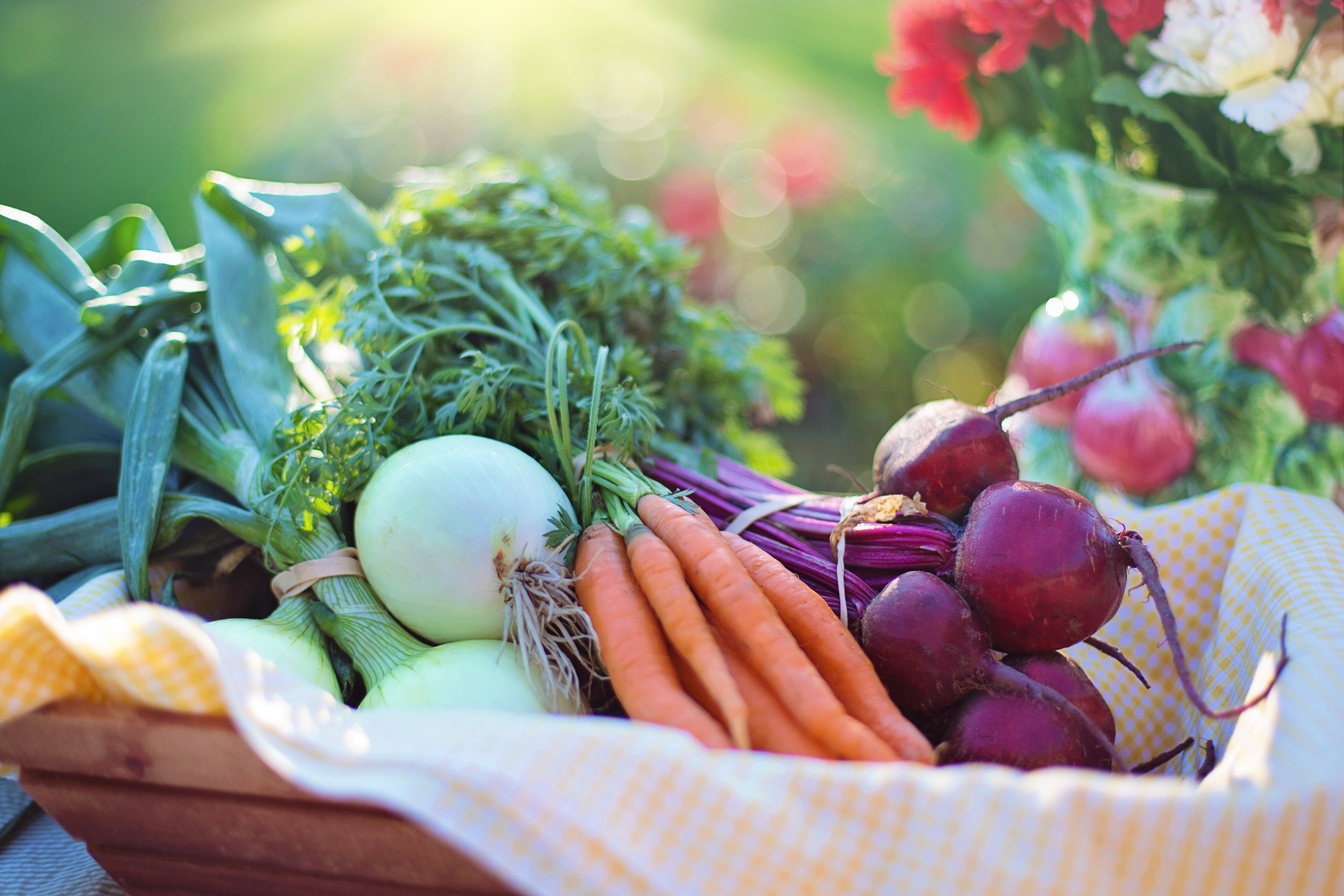 The Social and Ecological Benefits of Urban Agriculture