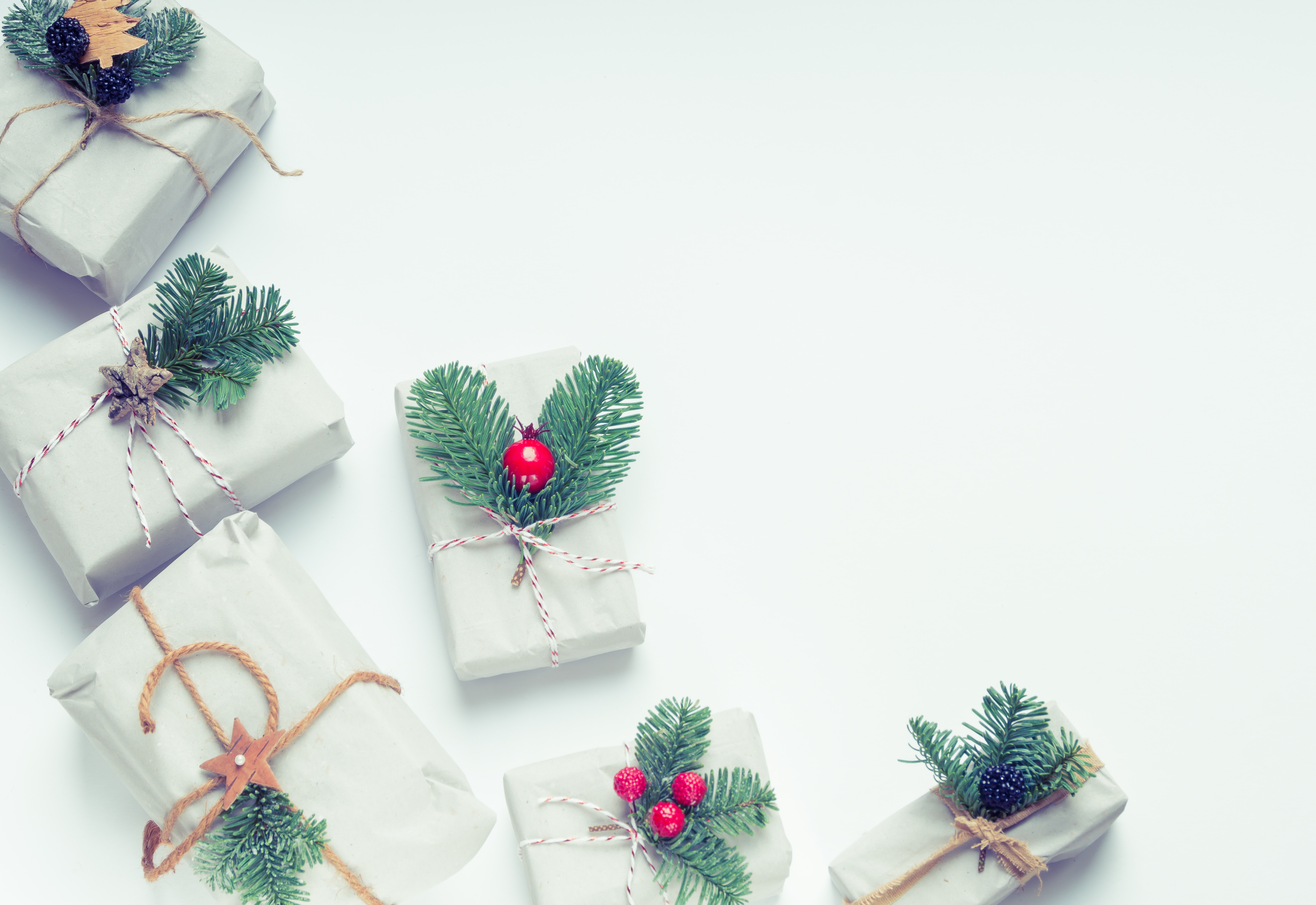 Christmas Gifts in a Time of Environmental Crisis (French version available)
