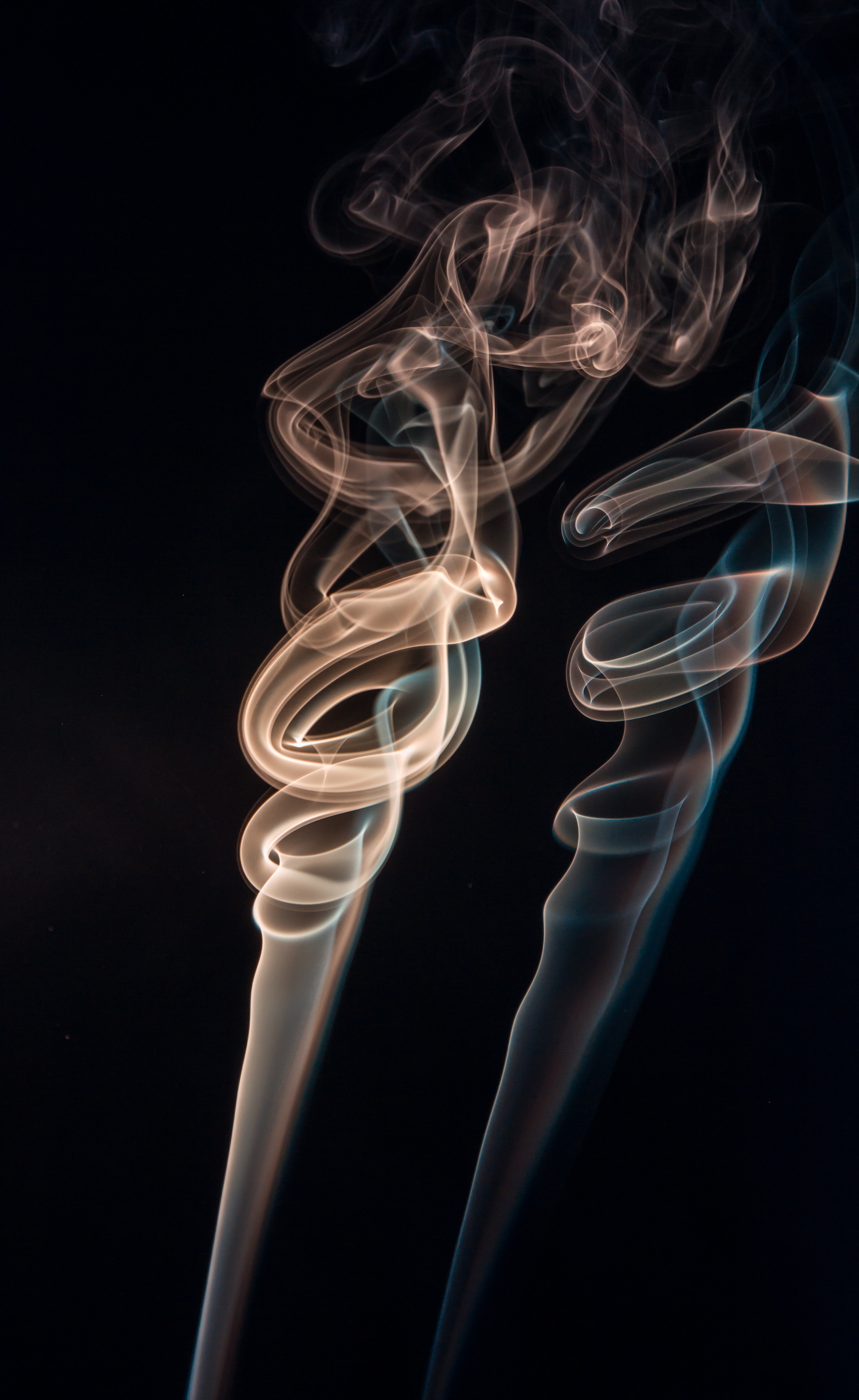Career Profile: Steamfitter