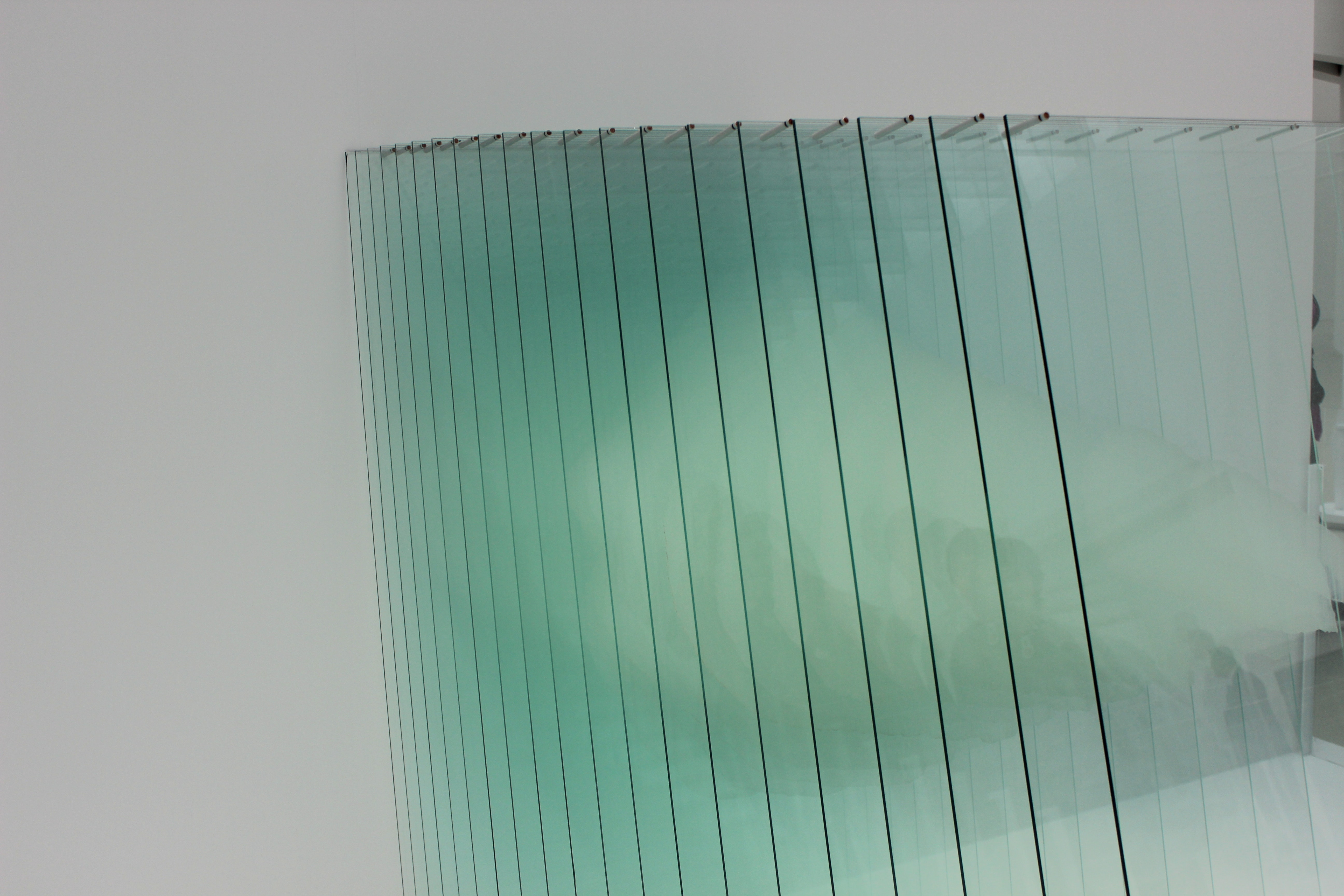 Career Profile: Automotive Glass Technician