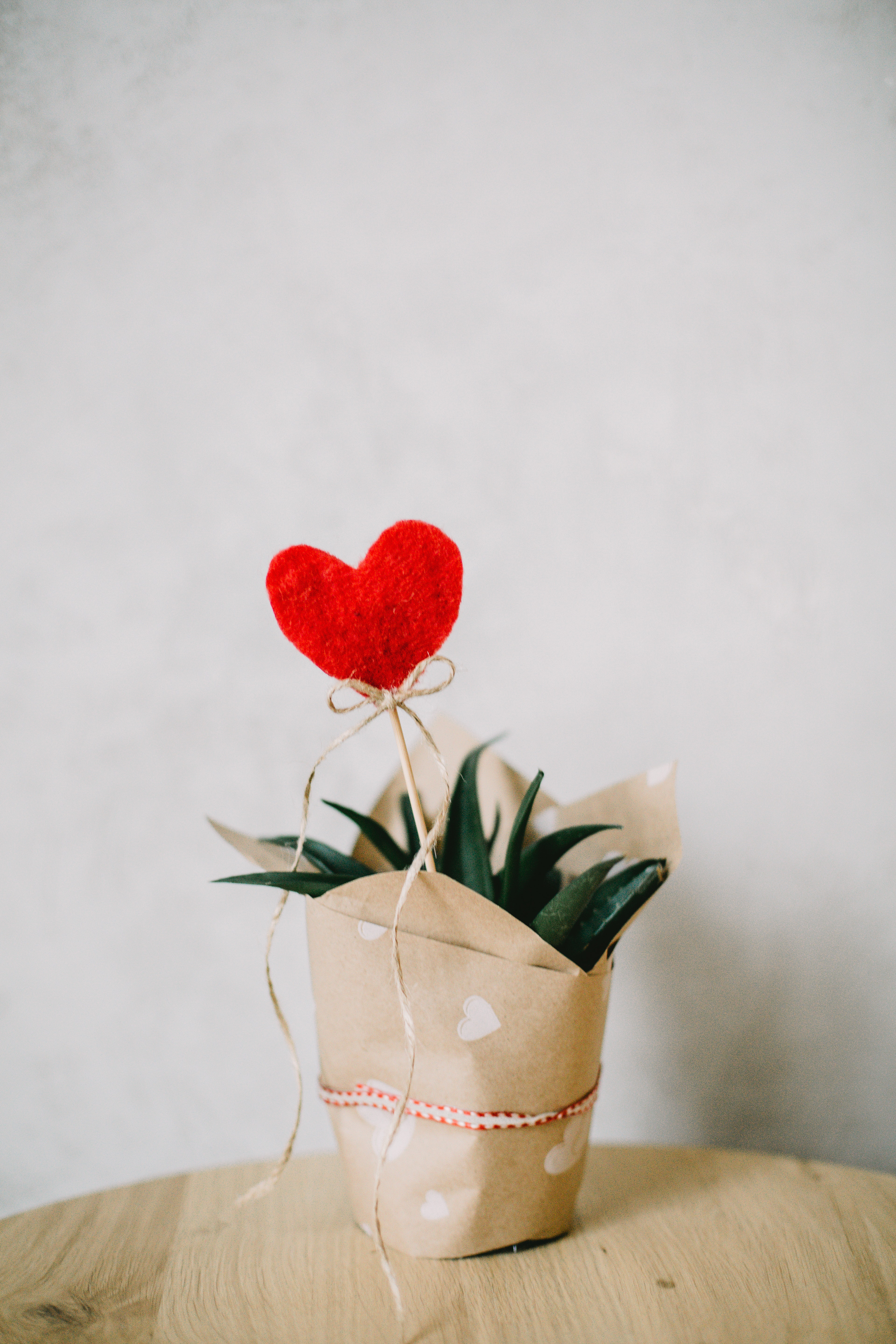 For the Love of February