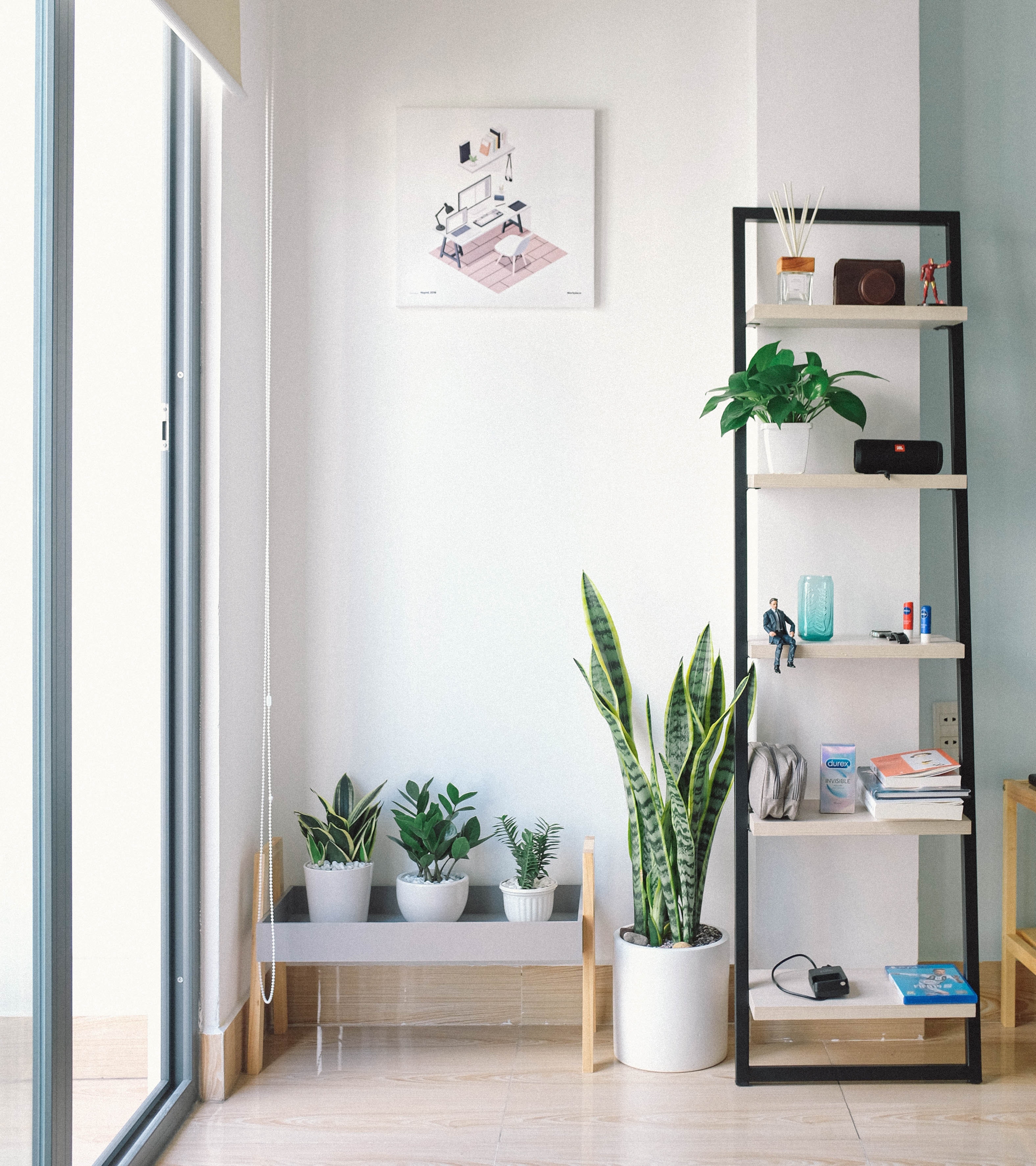 Guide to Indoor Gardening!