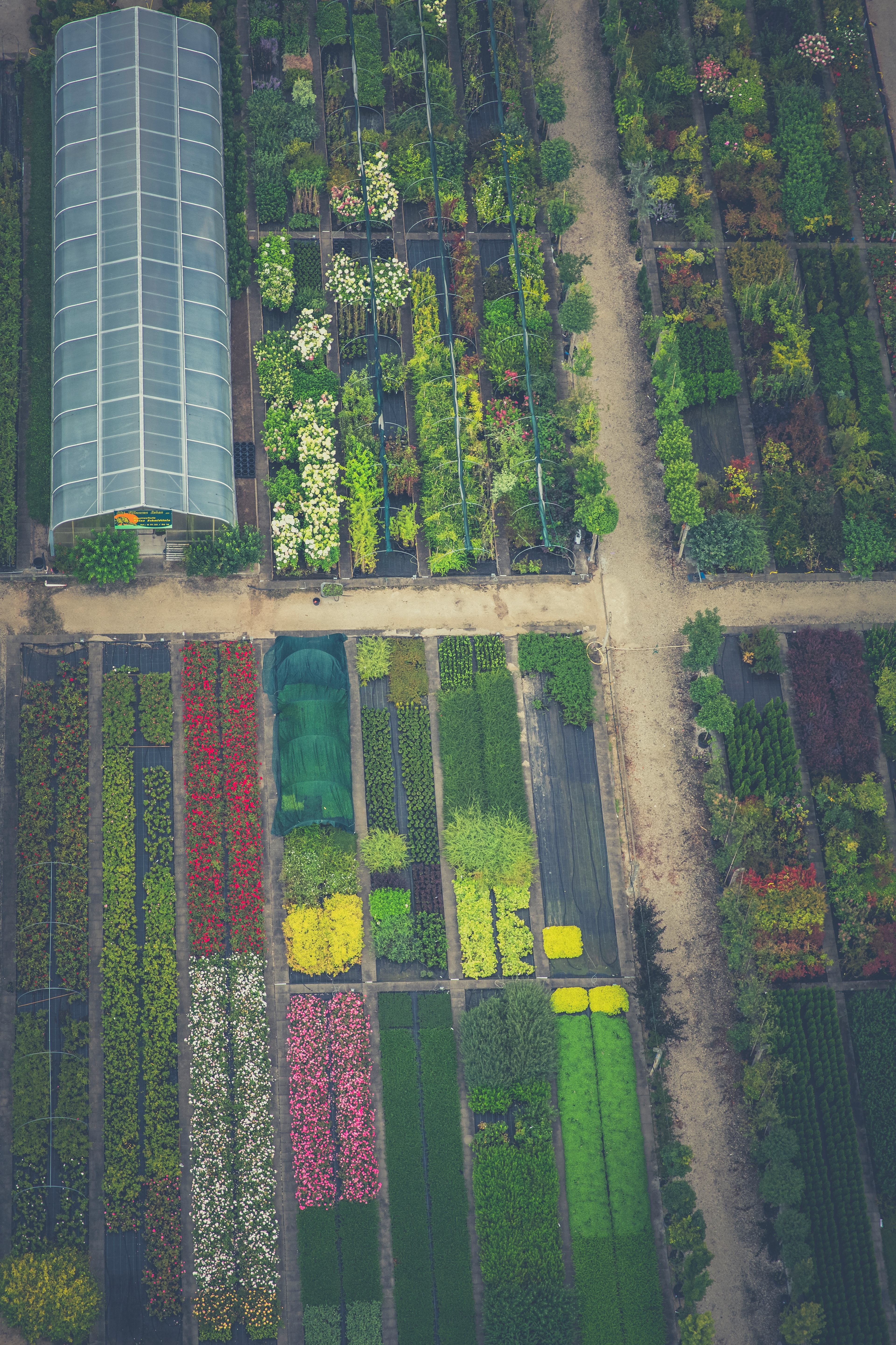 Career Profile: Nursery and Greenhouse Managers