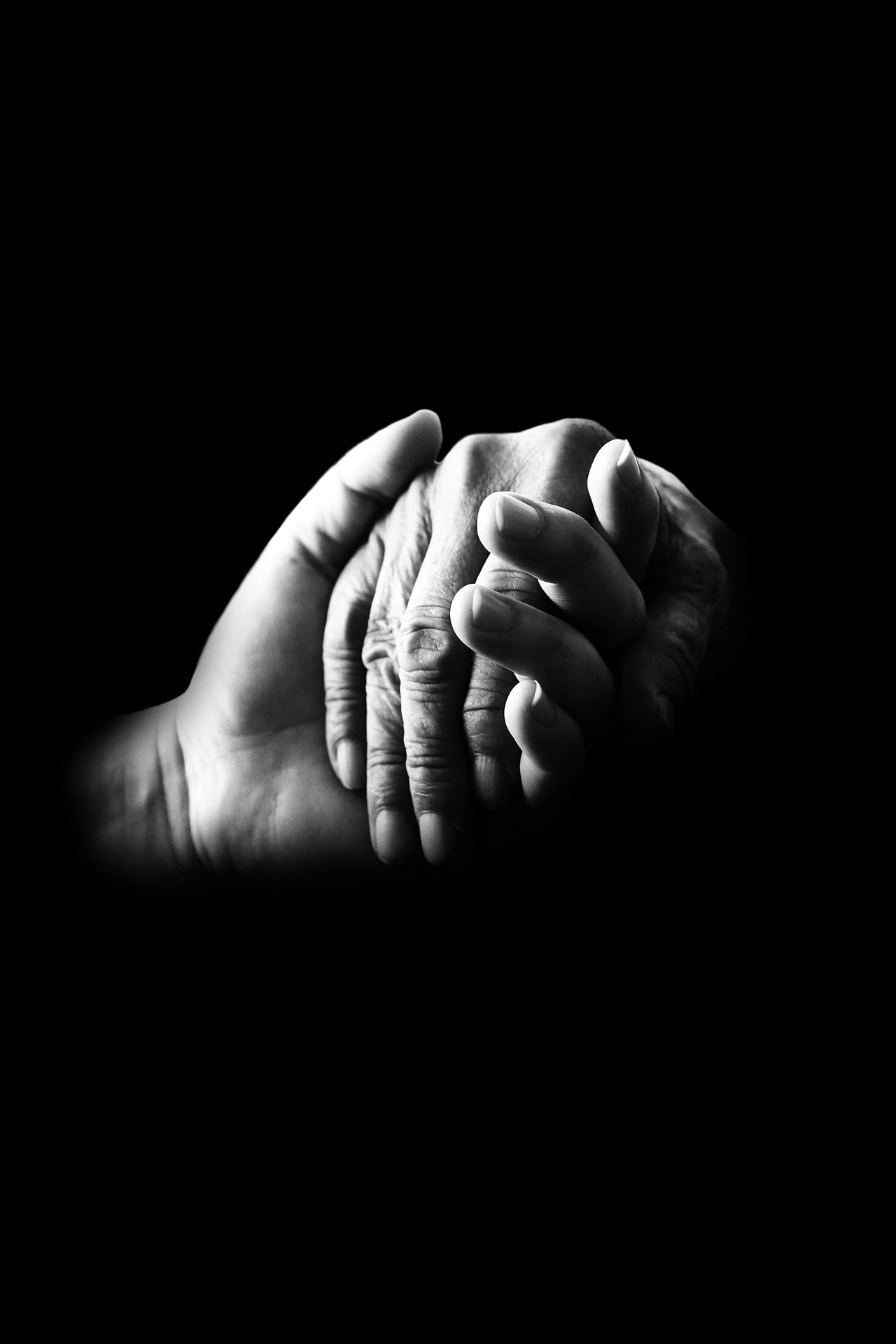 Compassion: The Key to Peace and Understanding in These Dire Times
