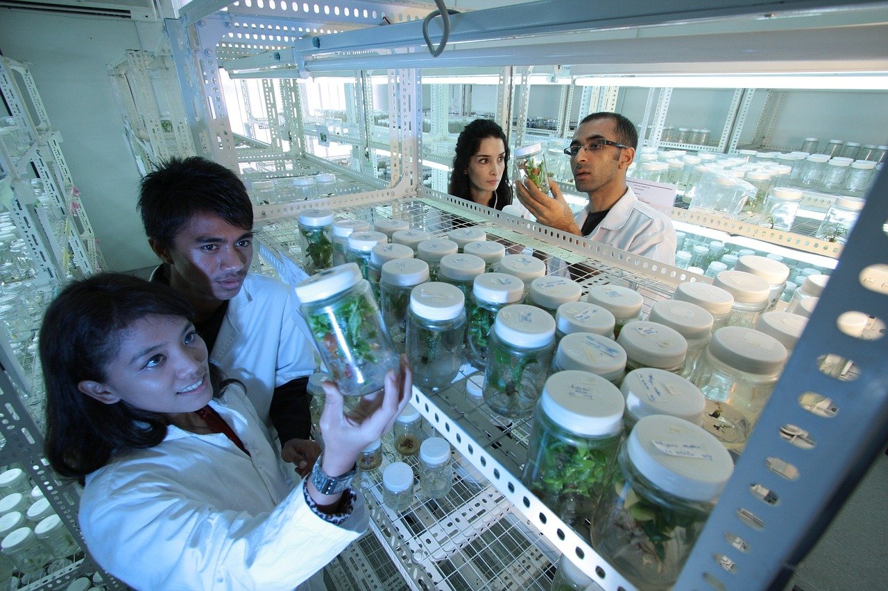 Career Profile: Soil Scientist