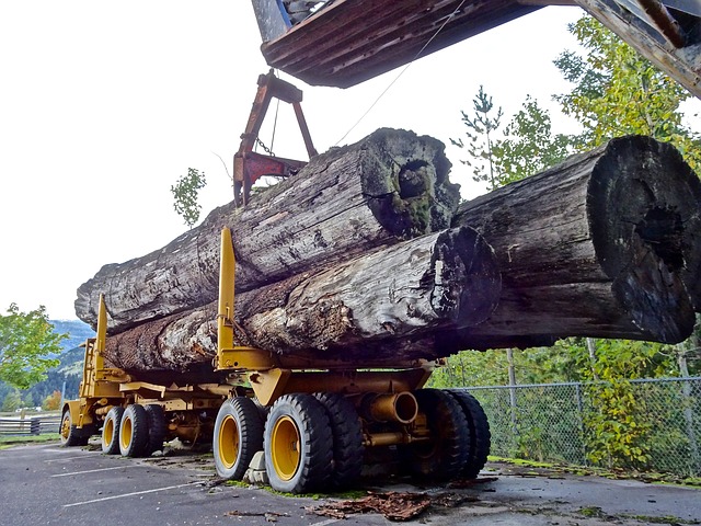 Career Profile: Logging Equipment Operator