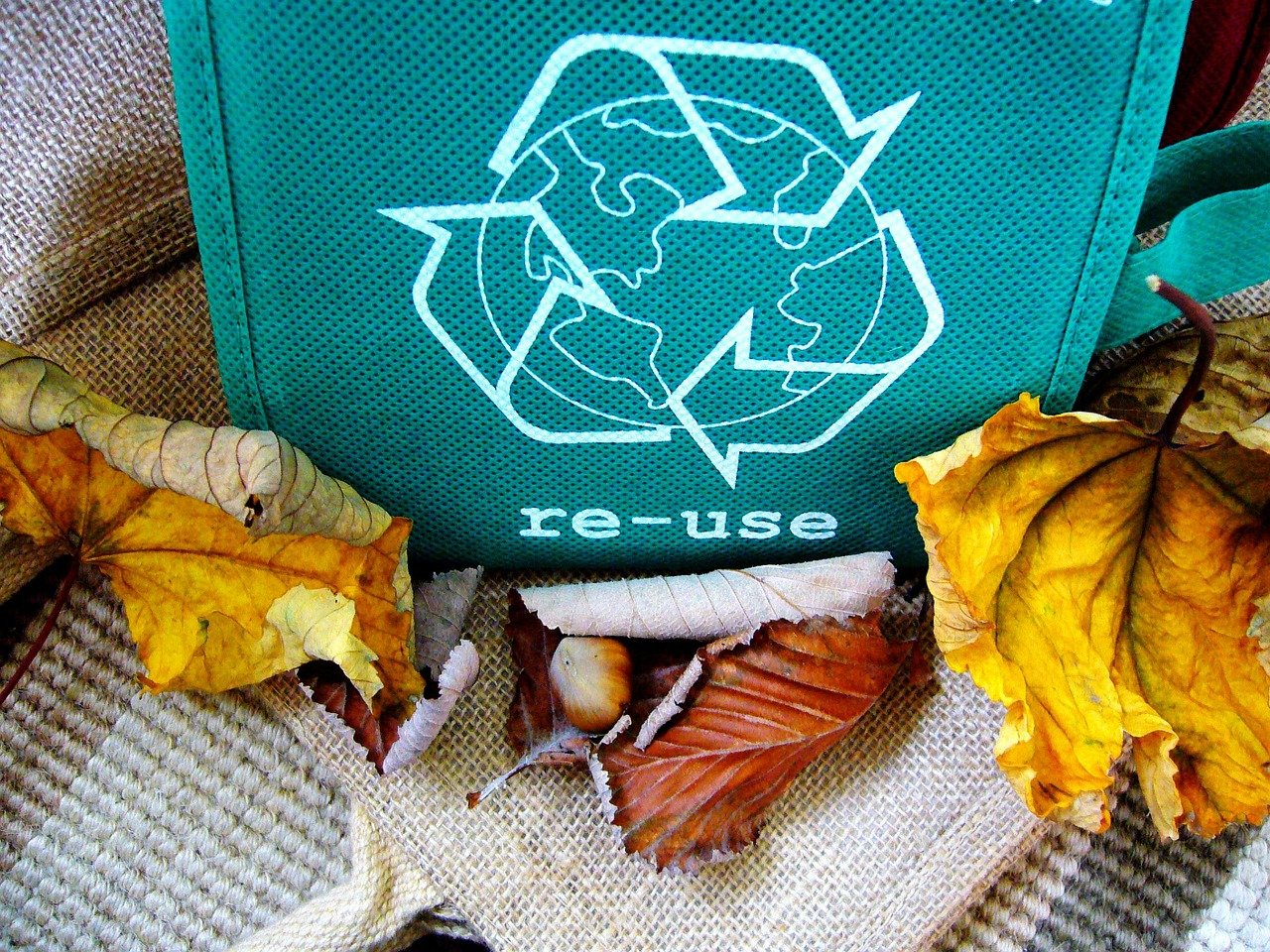 A Greener Nook of Your Own: Eco-friendly Steps for Your Space