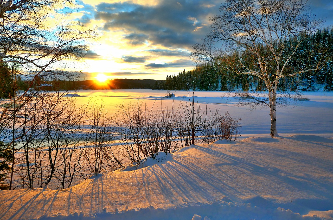 Coping with the Cold COVID Winter