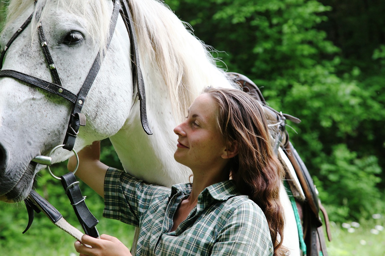 Career Profile: Horse Groomer