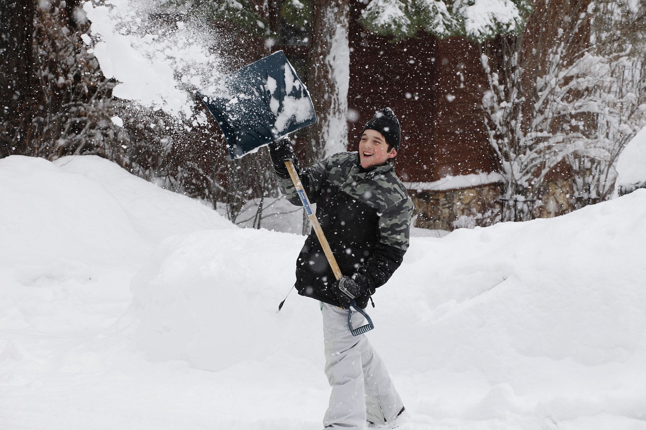 Volunteer Gigs in Winter
