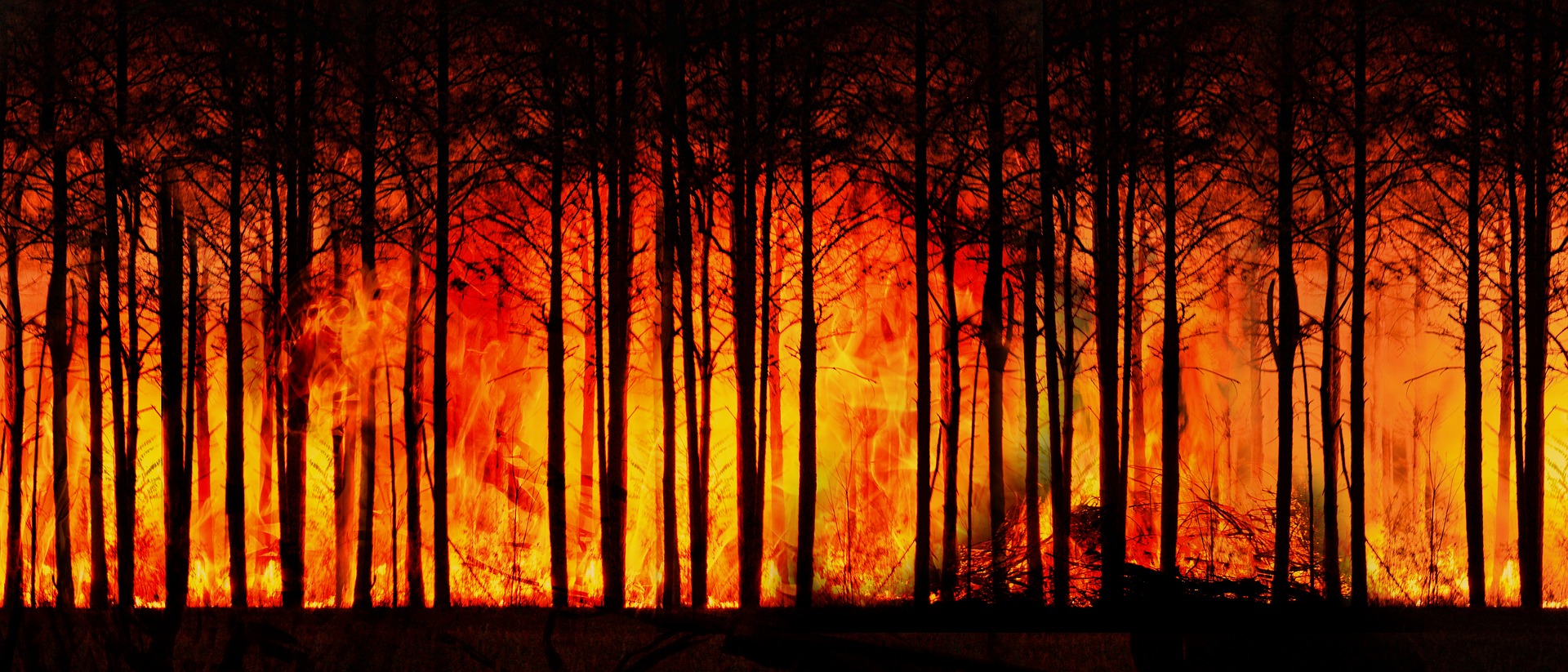 How the climate crisis has resulted in extreme weather in BC and why urgent action is necessary