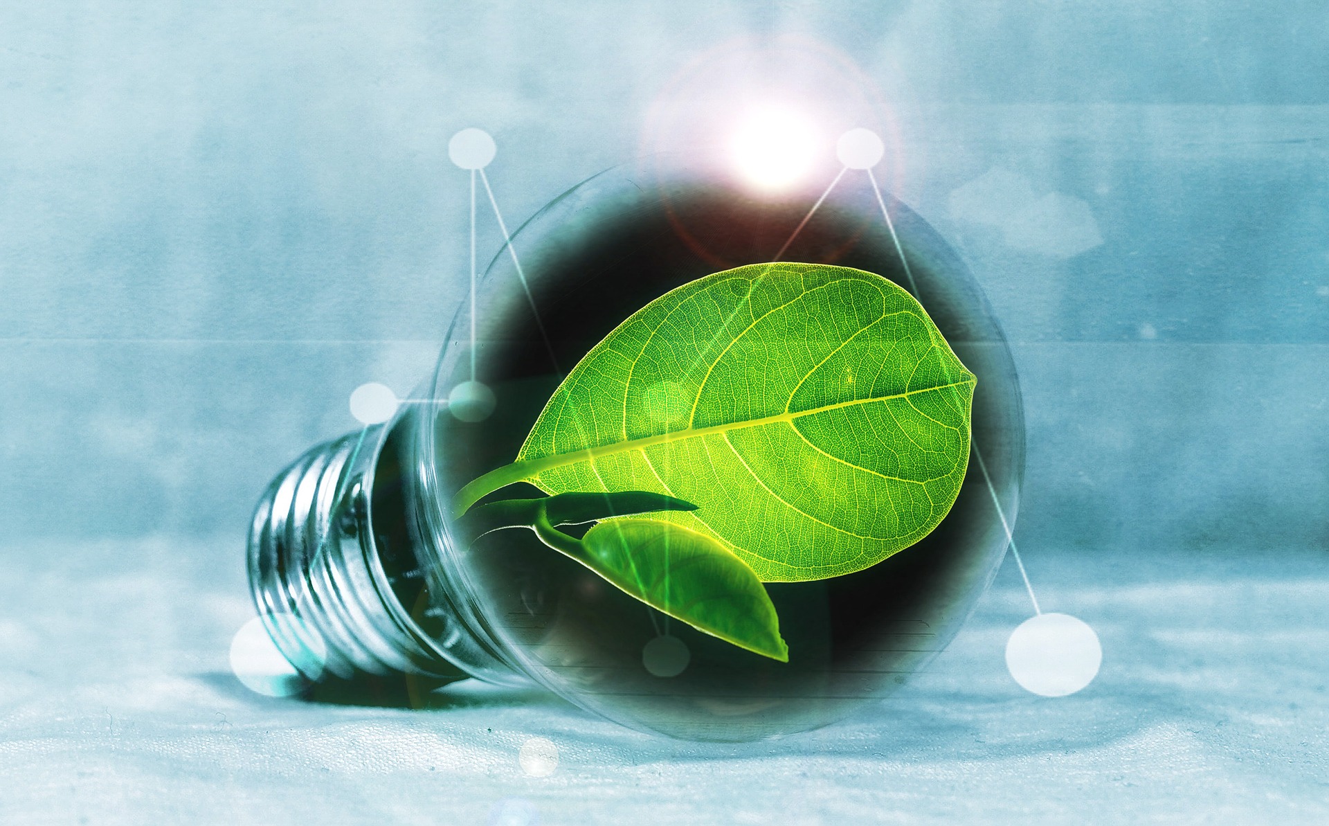 Small Steps to Make Your Home or Dorm More Environmentally Friendly