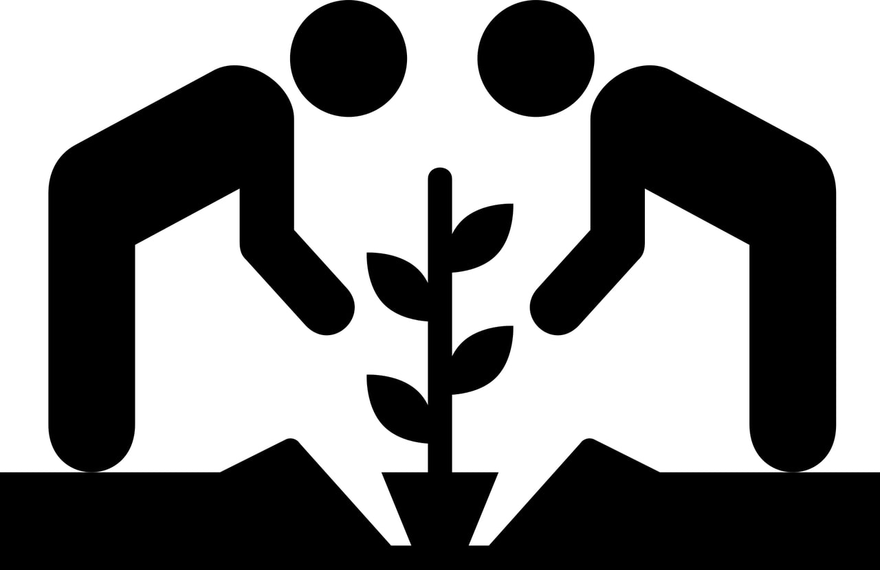Do You Love Plants and People? Why Not Start a Community Garden? (French version available)