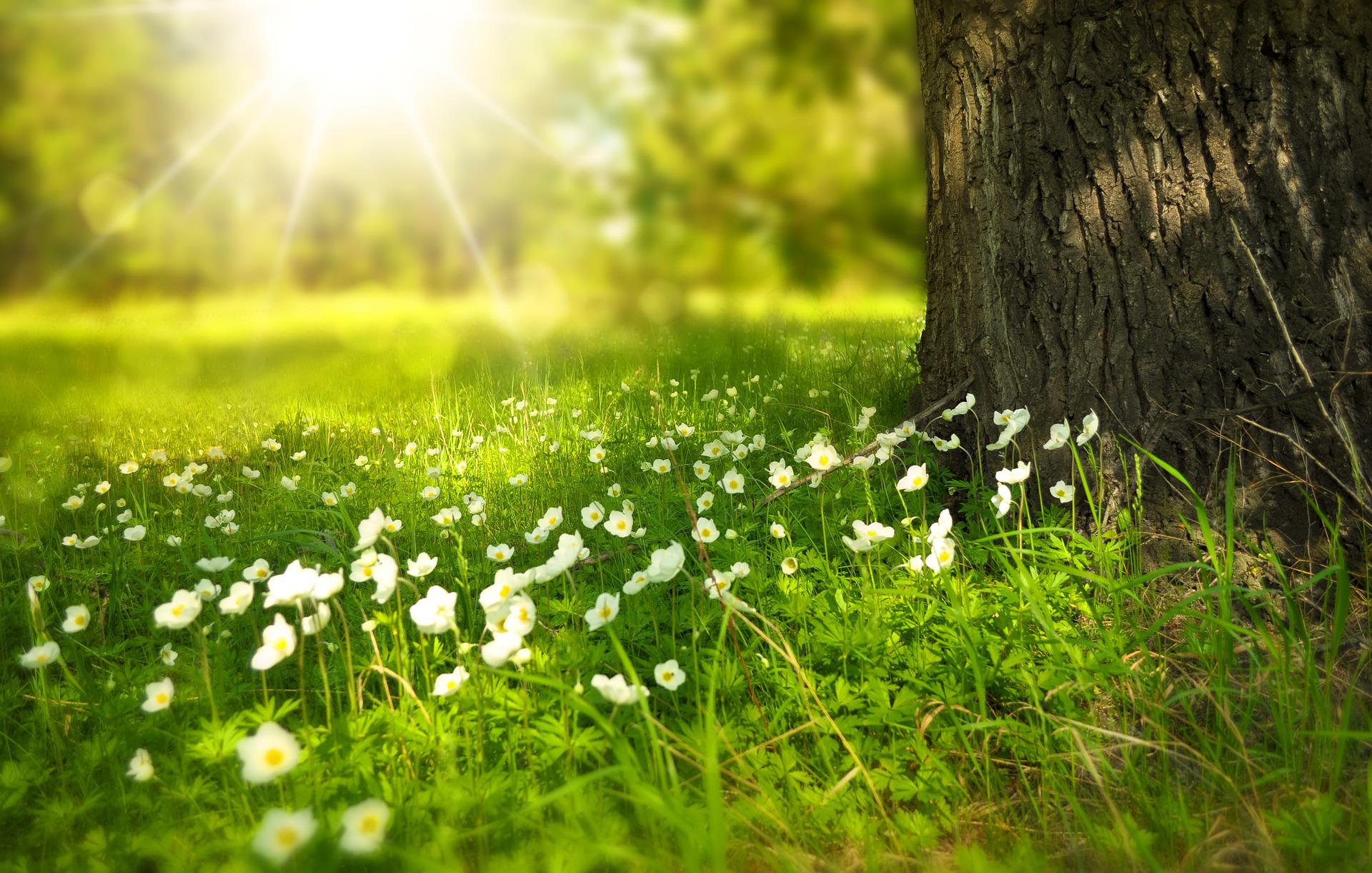 Happy Summer from JPD!