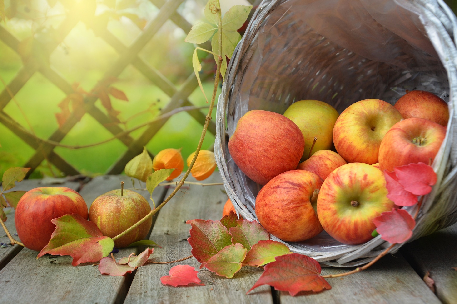 One Bad Apple Doesn’t Have to Ruin the Barrel